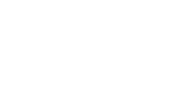 Manifesto 13 Allianz