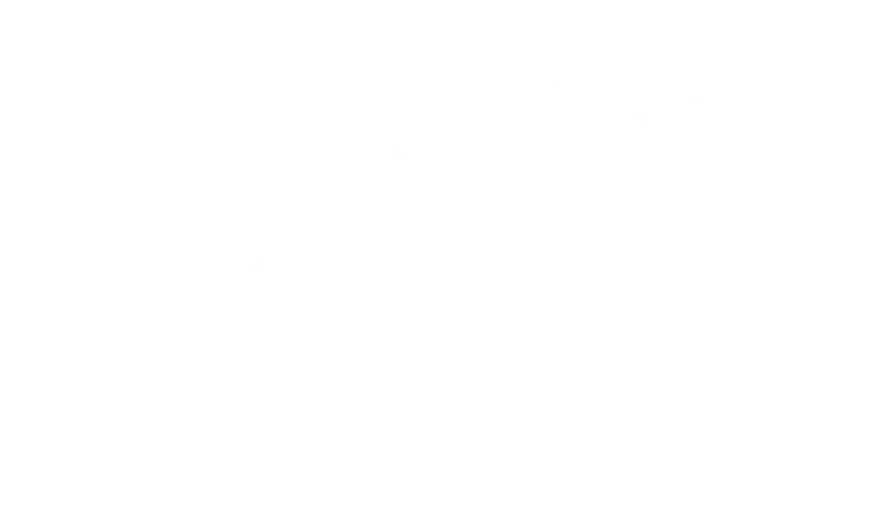 Manifesto 11 Bolt